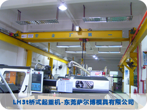 LH3t橋式起重機-東莞薩爾博模具有限公司 LH3t橋式起重機-東莞薩爾博模具有限公司